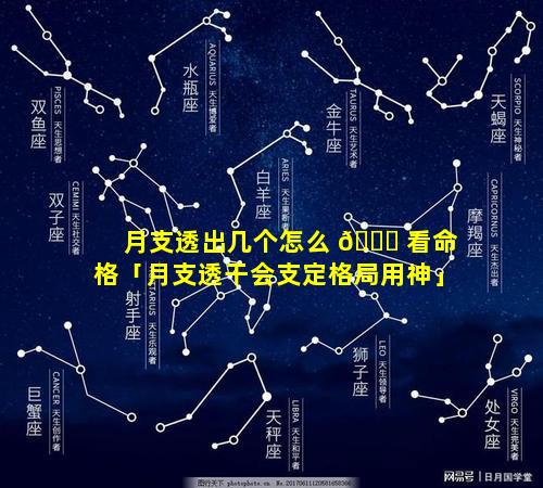 月支透出几个怎么 🐈 看命格「月支透干会支定格局用神」